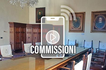 Streaming video commissioni consiliari
